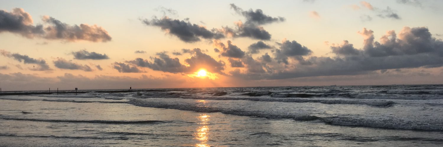 Holly Kasperbauer banner