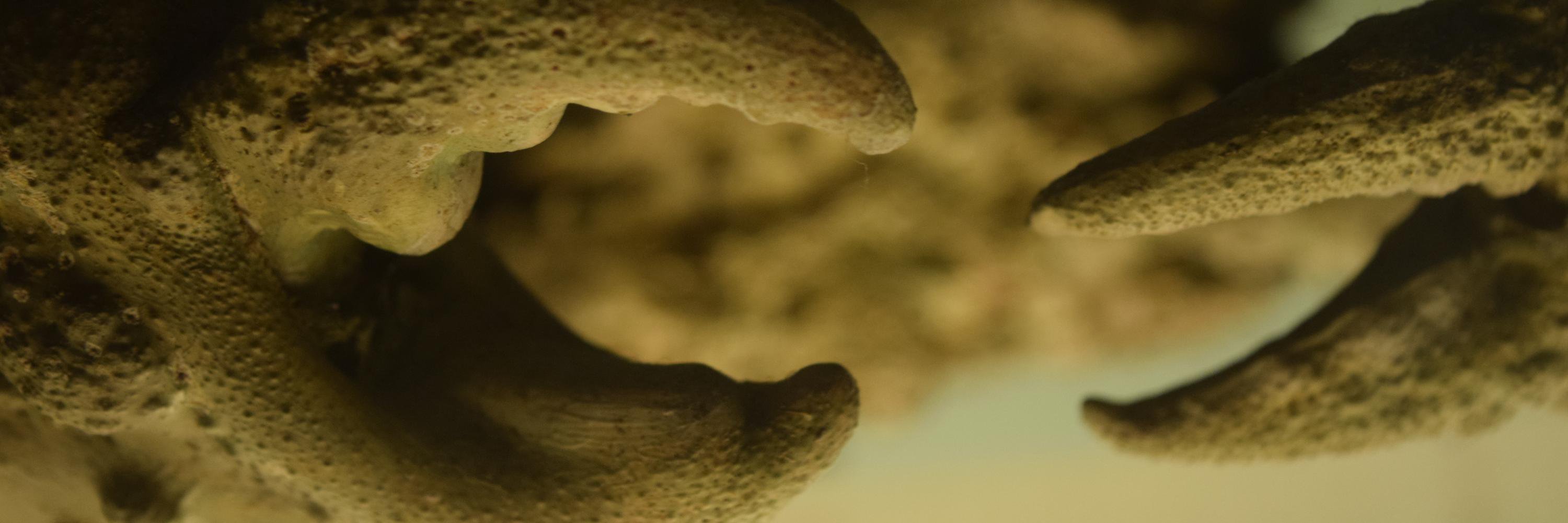simounster's profile banner image