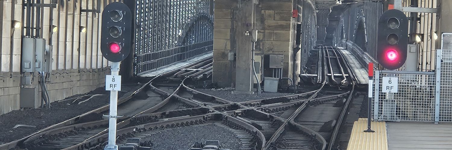 ✭ ✨ ToooDuhLou ✨ ✭ banner