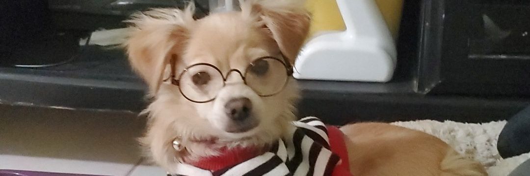 Jeffasoon_'s profile banner image