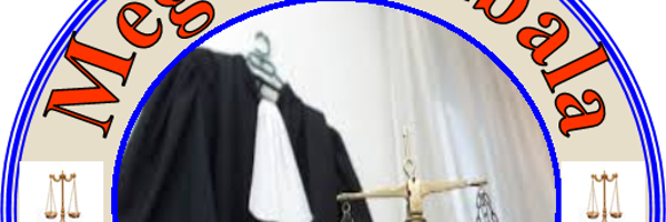 megalumbala5 Profile Banner