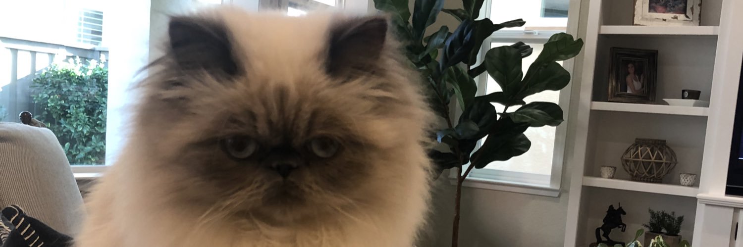 awhit11's profile banner image
