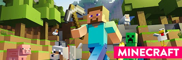 pypwithniko Profile Banner