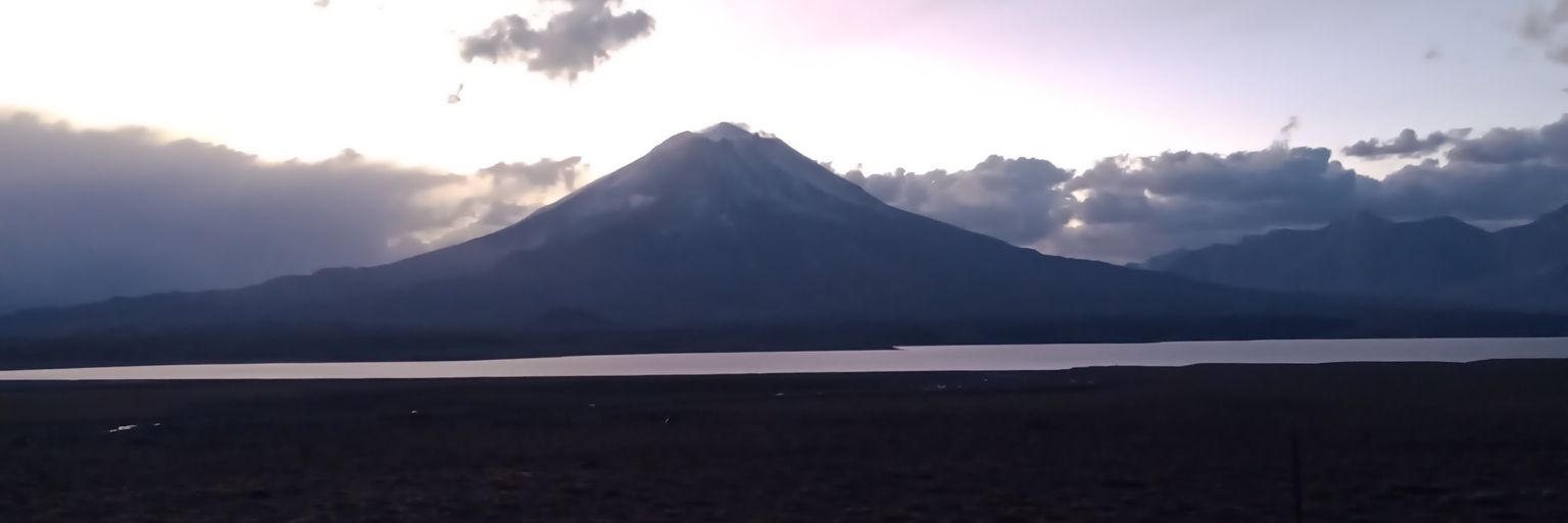 letoniamarzopa's profile banner image