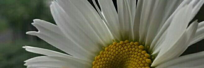 margduran's profile banner image
