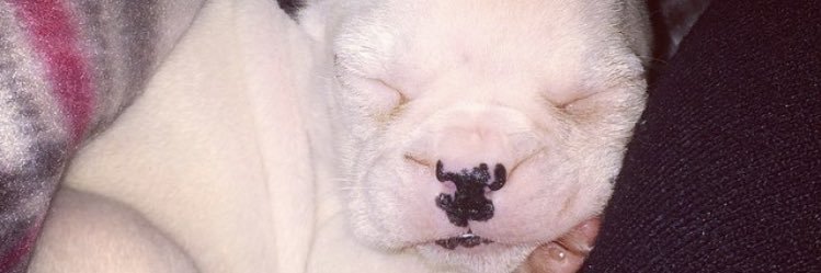 caritosm23_'s profile banner image