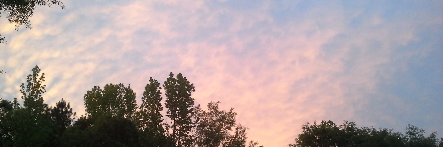 Frances420334's profile banner image