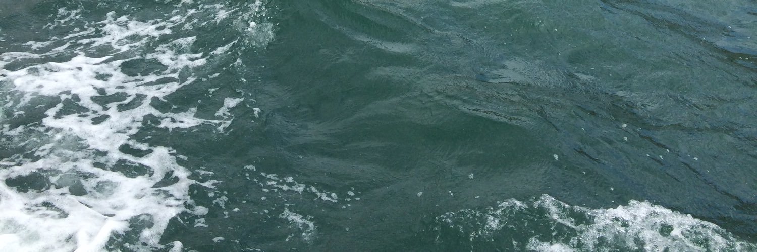abbyybeee's profile banner image