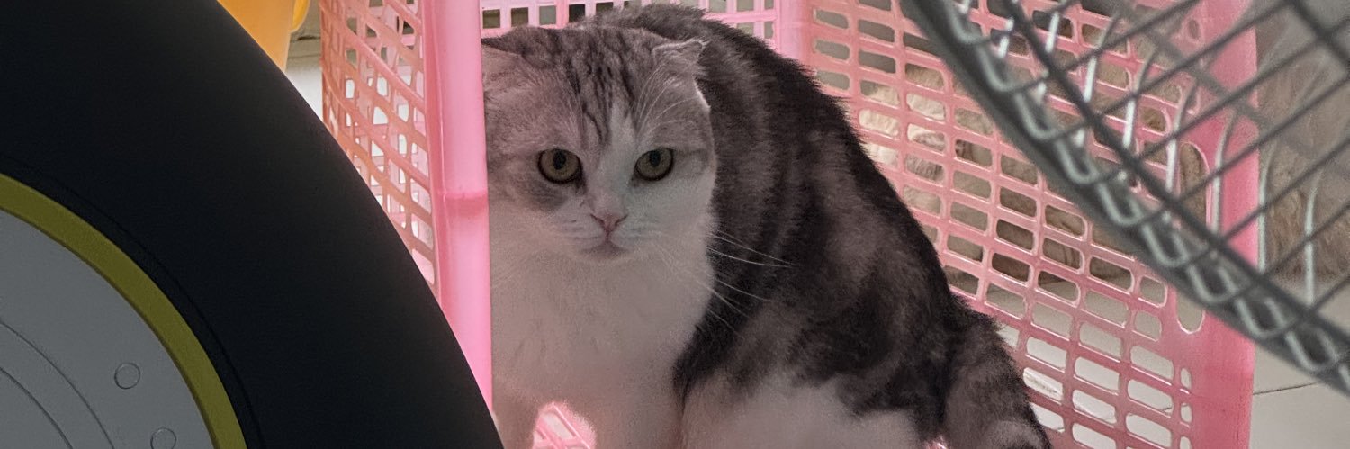 Laphassarin's profile banner image