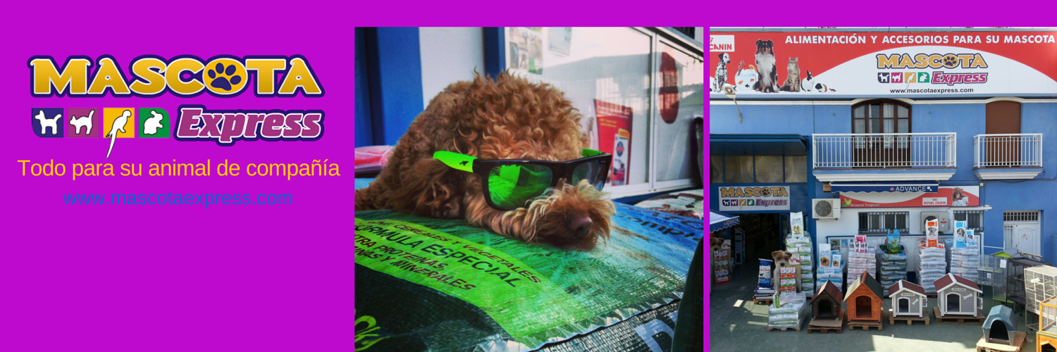 MascotaExpress's profile banner image
