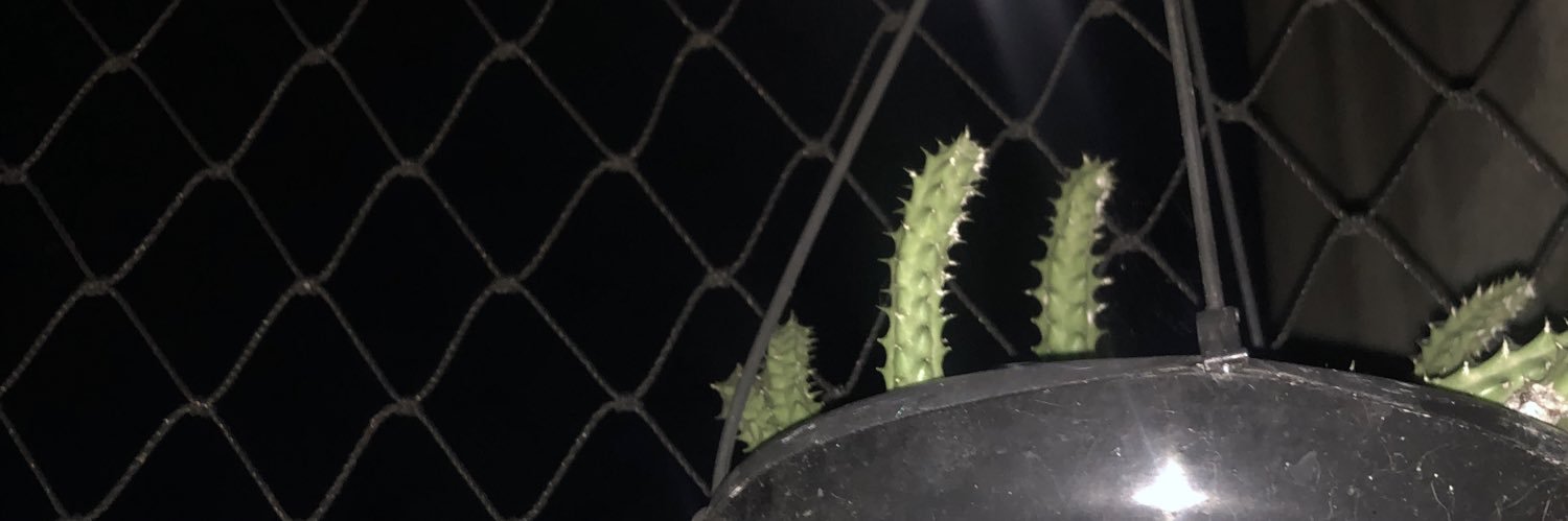 luamenndes's profile banner image