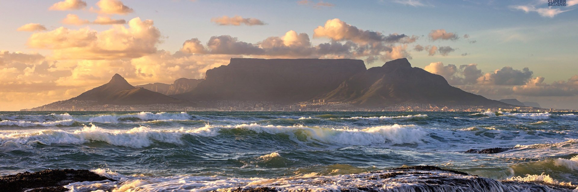 Anise.Niuma 牛马.OKX banner