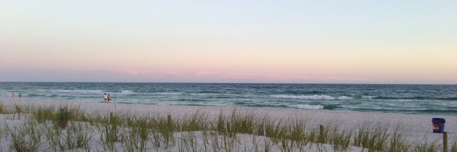 Whitney Miller-Nichols banner