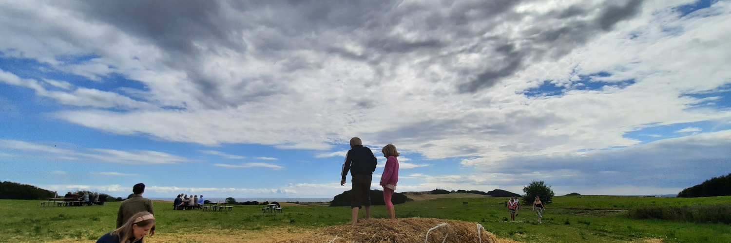 Camilla Damsø Pedersen banner