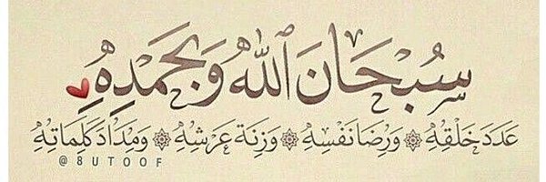 shamaelmughal Profile Banner