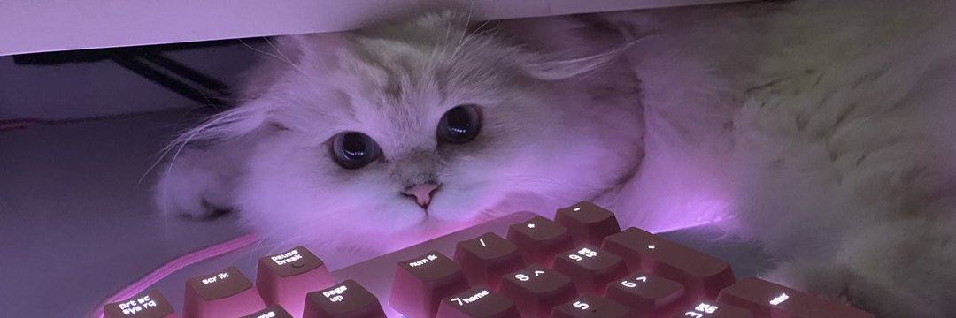 purplekittens's profile banner image