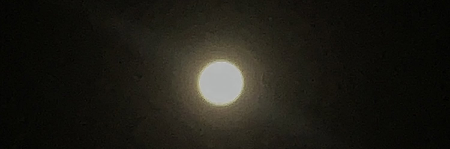 qween_jules's profile banner image