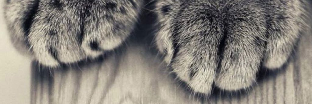 ma_be_mi's profile banner image