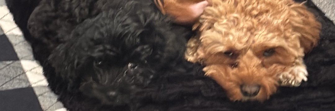 G as in Geraden banner