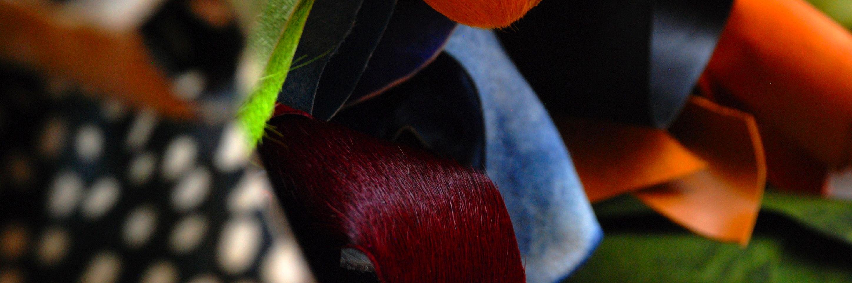 eferrozocos's profile banner image