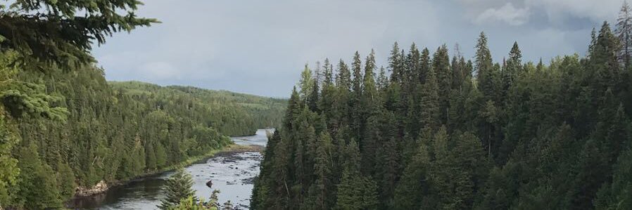 ناصر عمر بن عقيل banner