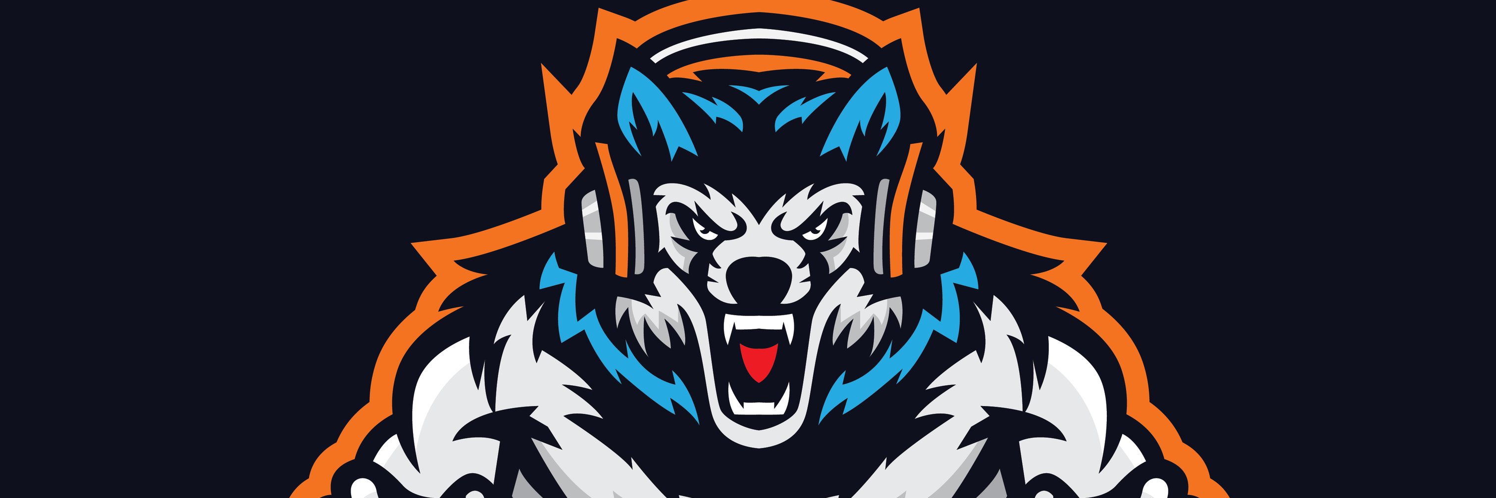 Jeff Hammer banner