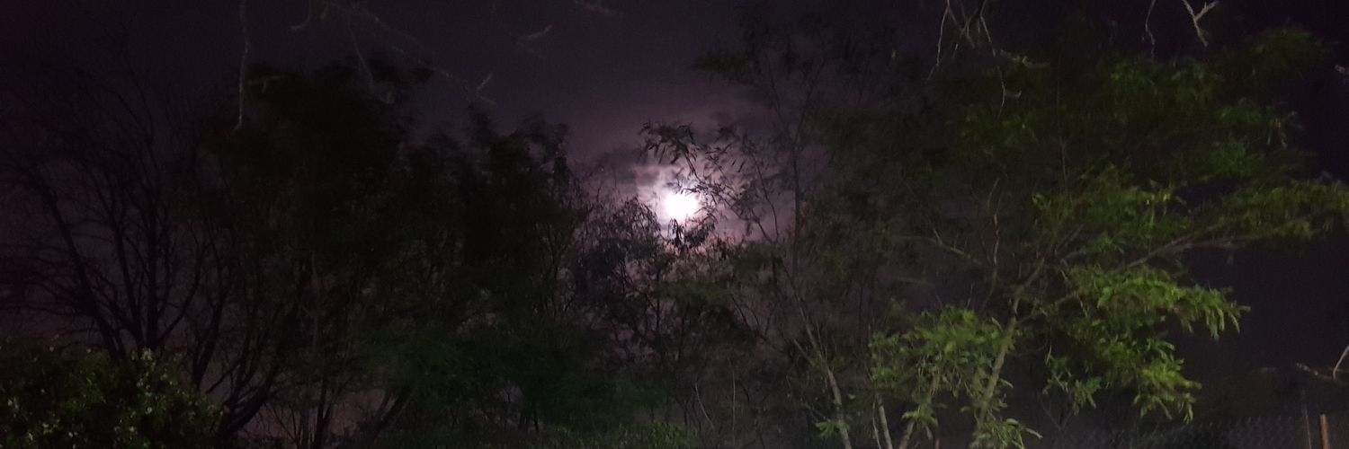 julioberrones13's profile banner image