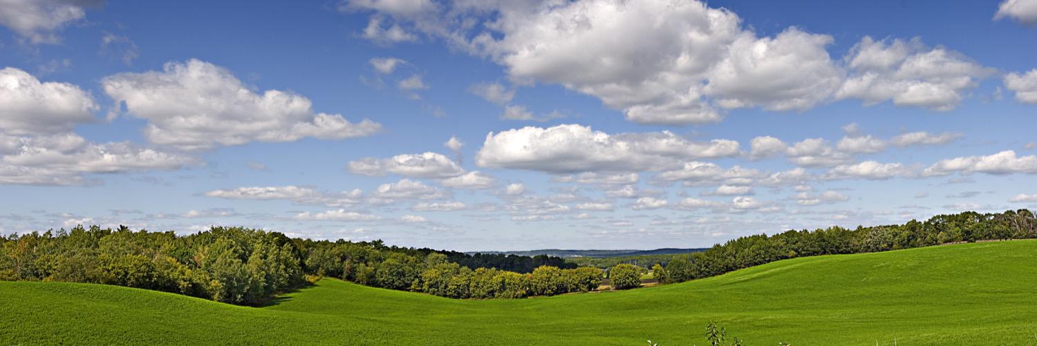 Wisconsinites's profile banner image