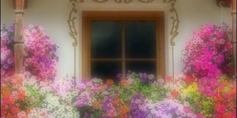33112tpg71's profile banner image