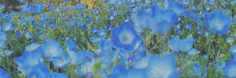 kyap0830's profile banner image