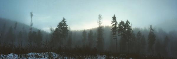 solexposure Profile Banner