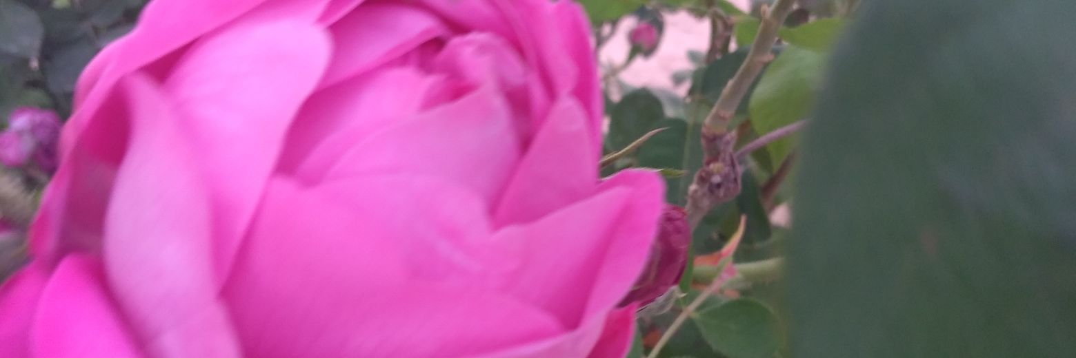 hmoussa1967's profile banner image