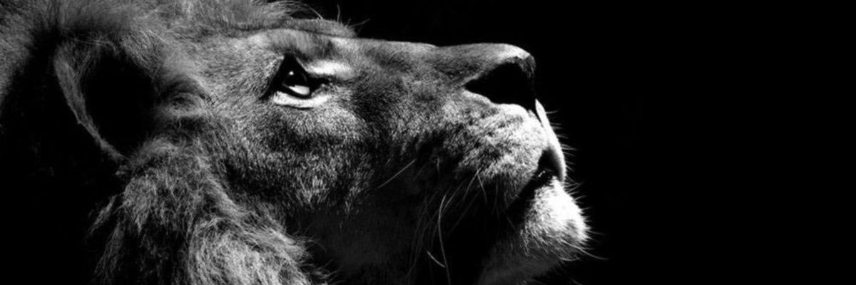 kaycscrib's profile banner image