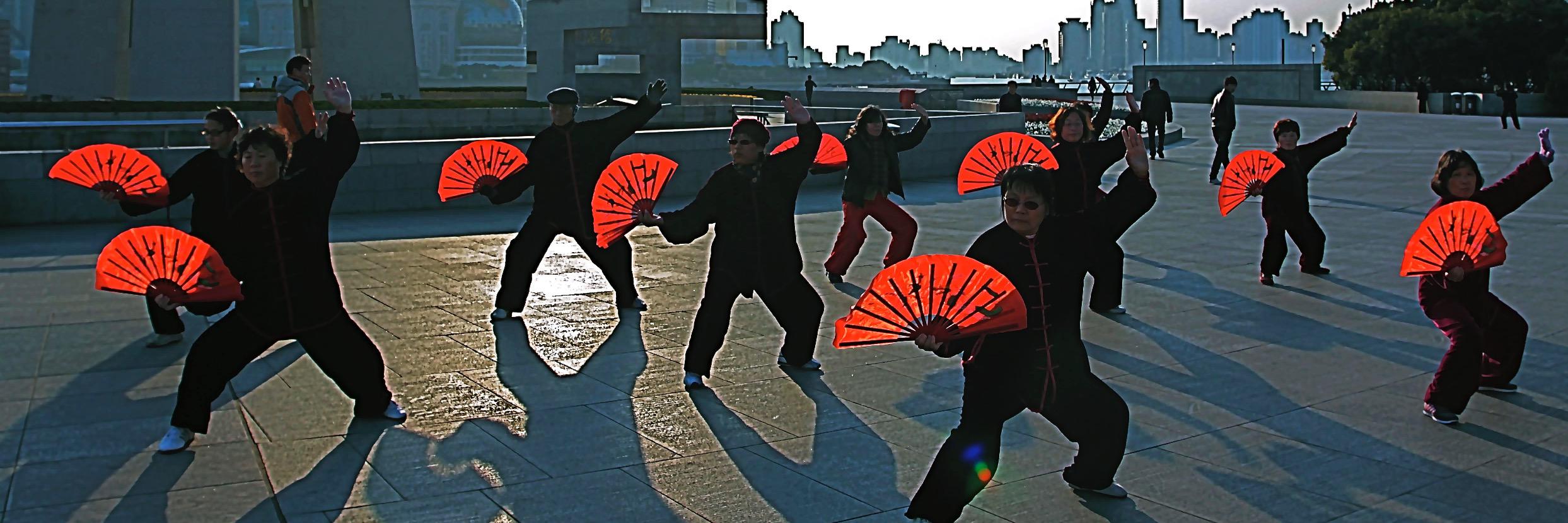 Jacques Robert banner