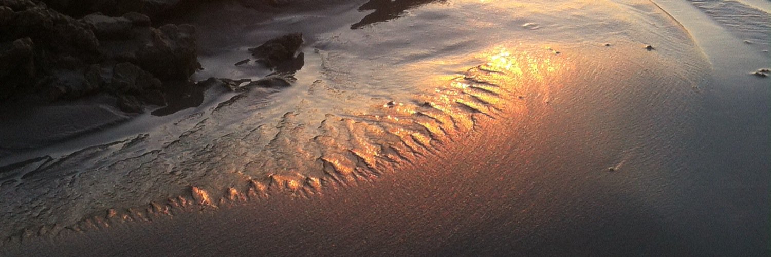 SarahTaylor/BeeBalmy banner