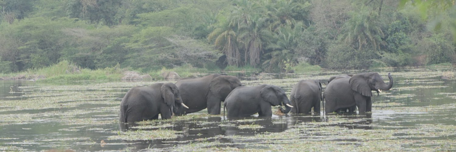 Omunyamazinga banner