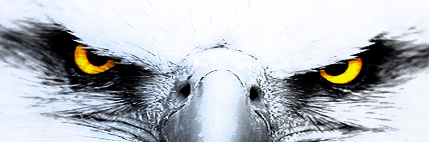 IUR_Inam's profile banner image
