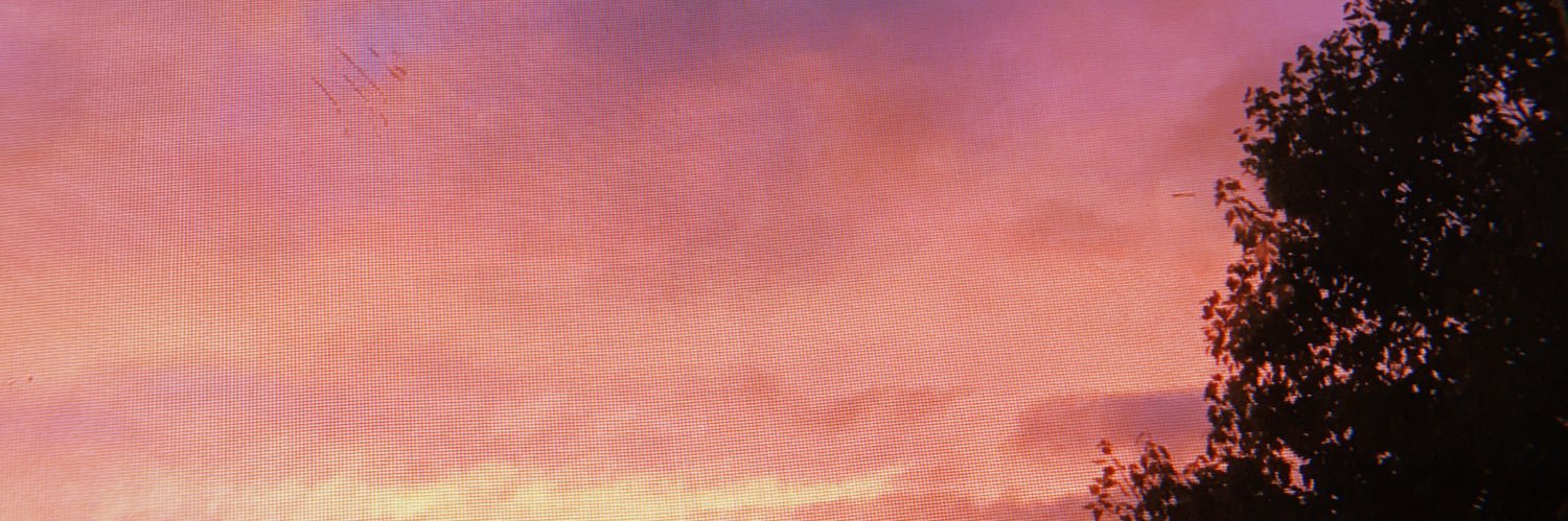 CAREYDIARIES's profile banner image