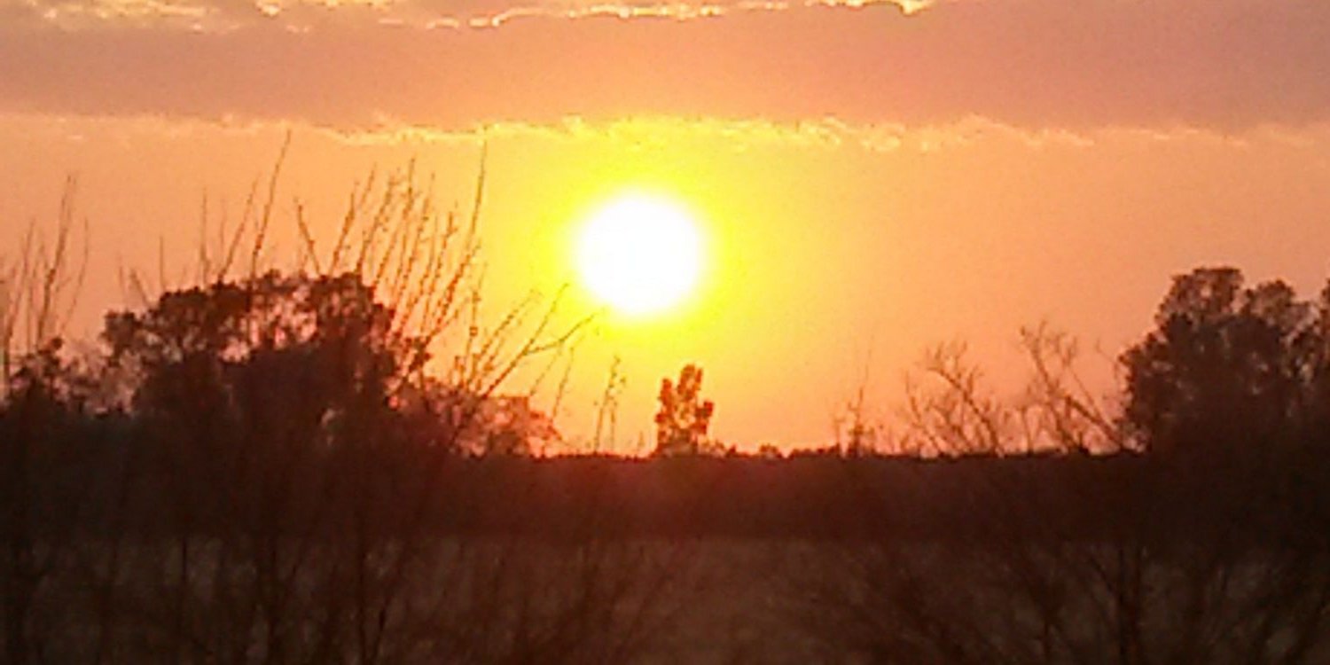 DanelHusselmann's profile banner image
