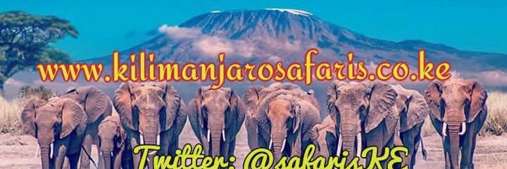 Kilimanjaro Safaris banner