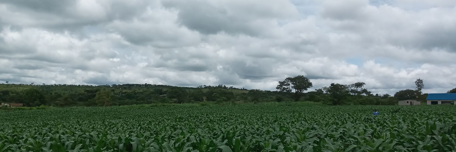 dbhariri's profile banner image