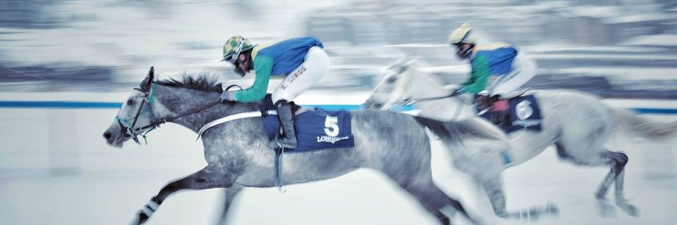 White_Turf_2022's profile banner image