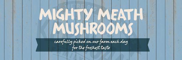 Kerrigans Mushrooms Profile Banner