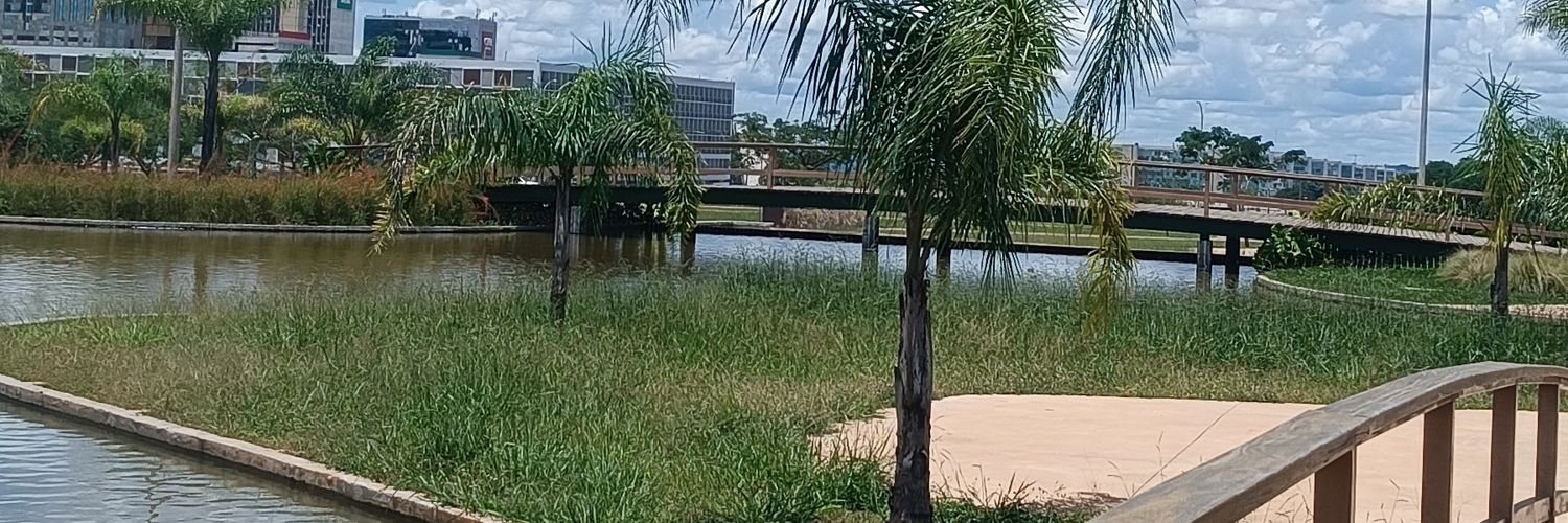 981Renato's profile banner image