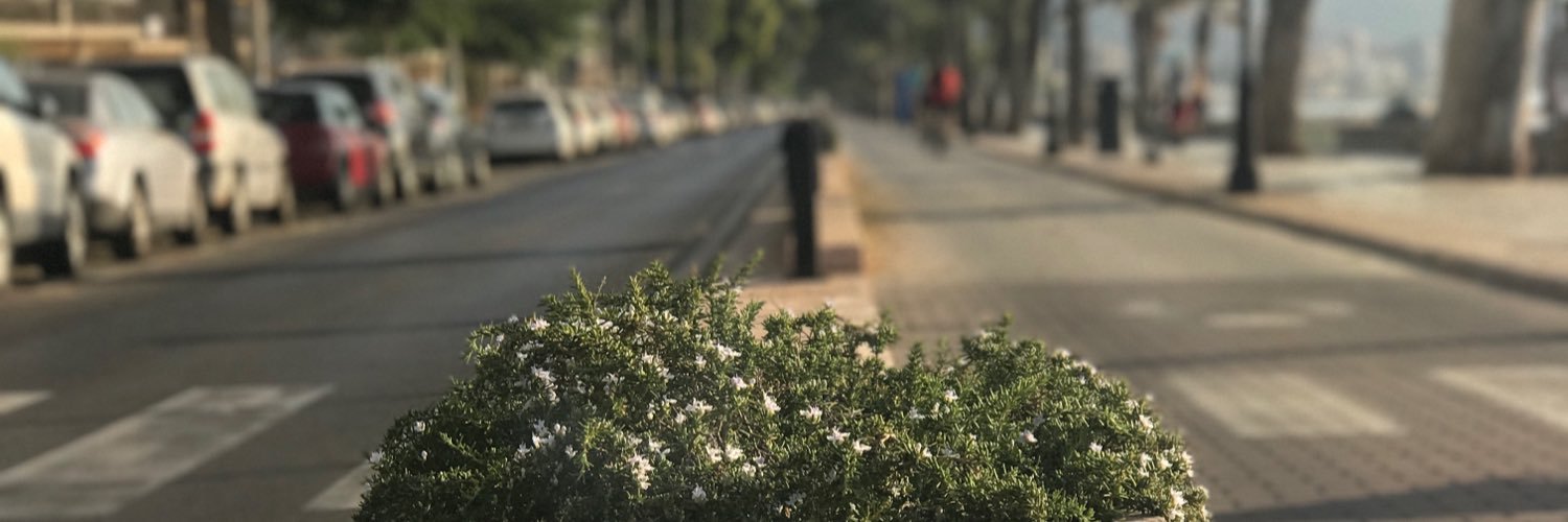 gonpargm's profile banner image