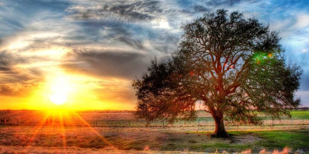 almondscience's profile banner image