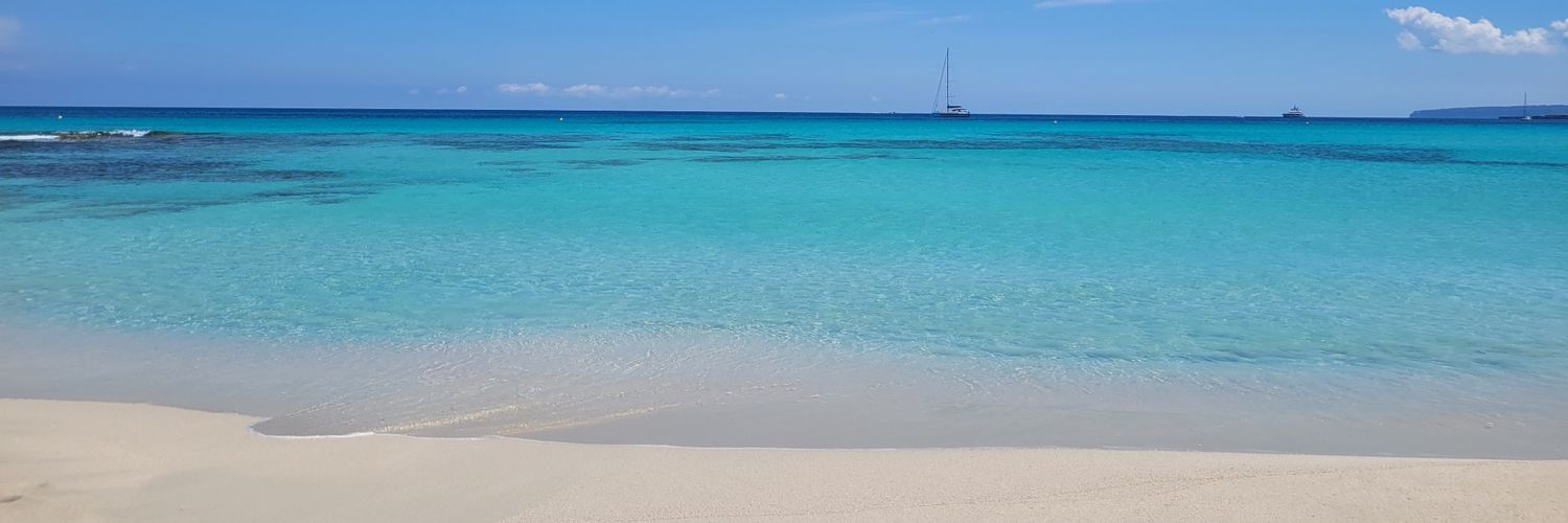 lveduna11's profile banner image