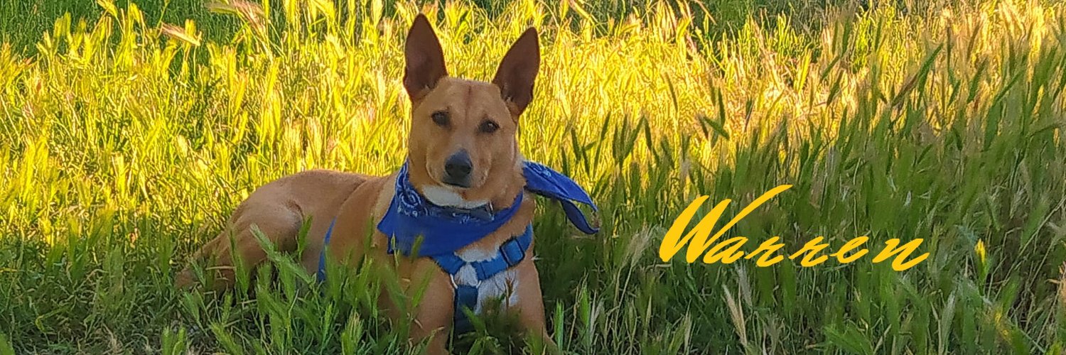 DavidMCSky's profile banner image