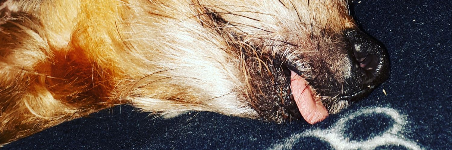 Nat_snogs_dogs's profile banner image