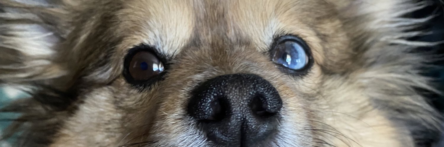 PomMomTabs's profile banner image